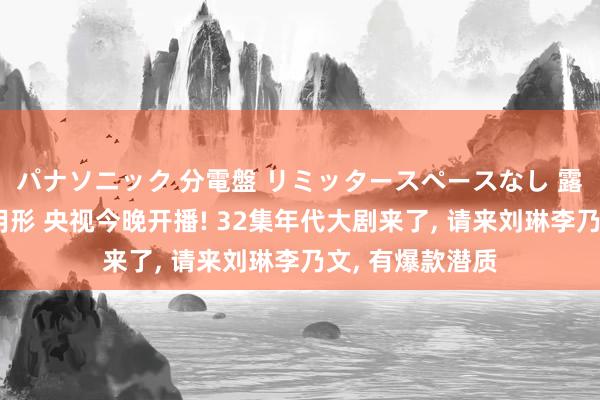 パナソニック 分電盤 リミッタースペースなし 露出・半埋込両用形 央视今晚开播! 32集年代大剧来了, 请来刘琳李乃文, 有爆款潜质