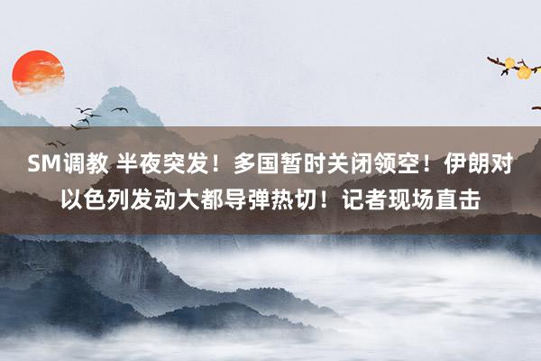 SM调教 半夜突发！多国暂时关闭领空！伊朗对以色列发动大都导弹热切！记者现场直击
