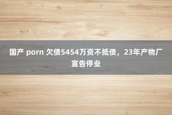 国产 porn 欠债5454万资不抵债，23年产物厂宣告停业