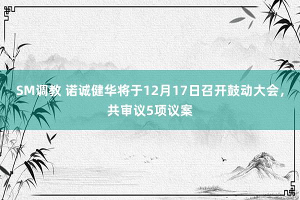 SM调教 诺诚健华将于12月17日召开鼓动大会，共审议5项议案