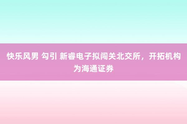 快乐风男 勾引 新睿电子拟闯关北交所，开拓机构为海通证券