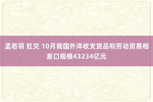 孟若羽 肛交 10月我国外洋收支货品和劳动贸易相差口规模43234亿元