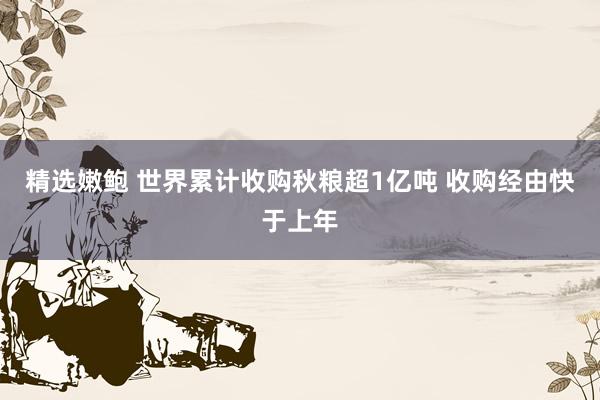 精选嫩鲍 世界累计收购秋粮超1亿吨 收购经由快于上年