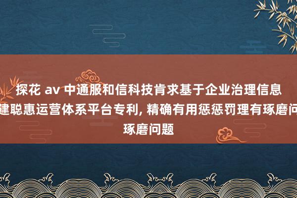 探花 av 中通服和信科技肯求基于企业治理信息搭建聪惠运营体系平台专利, 精确有用惩惩罚理有琢磨问题