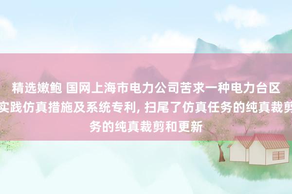 精选嫩鲍 国网上海市电力公司苦求一种电力台区的虚构实践仿真措施及系统专利， 扫尾了仿真任务的纯真裁剪和更新
