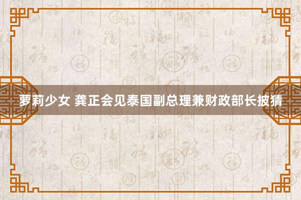 萝莉少女 龚正会见泰国副总理兼财政部长披猜