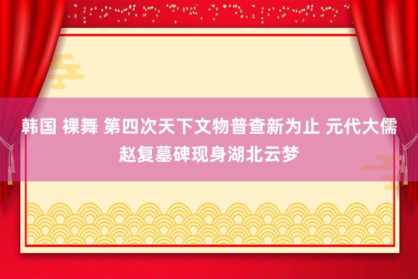 韩国 裸舞 第四次天下文物普查新为止 元代大儒赵复墓碑现身湖北云梦