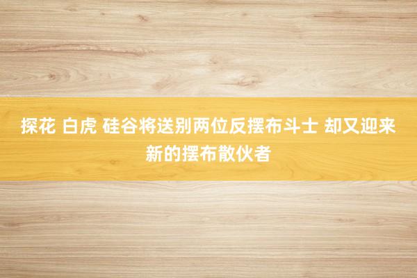 探花 白虎 硅谷将送别两位反摆布斗士 却又迎来新的摆布散伙者
