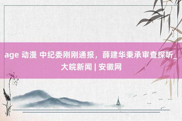 age 动漫 中纪委刚刚通报，薛建华秉承审查探听_大皖新闻 | 安徽网