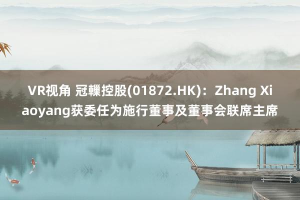 VR视角 冠轈控股(01872.HK)：Zhang Xiaoyang获委任为施行董事及董事会联席主席