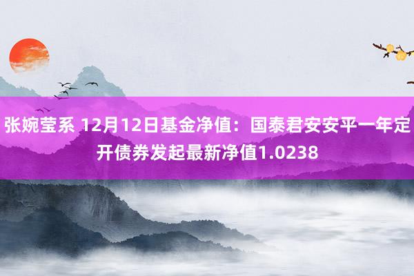 张婉莹系 12月12日基金净值：国泰君安安平一年定开债券发起最新净值1.0238