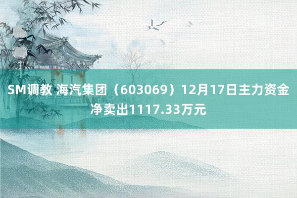 SM调教 海汽集团（603069）12月17日主力资金净卖出1117.33万元