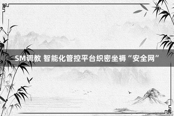 SM调教 智能化管控平台织密坐褥“安全网”
