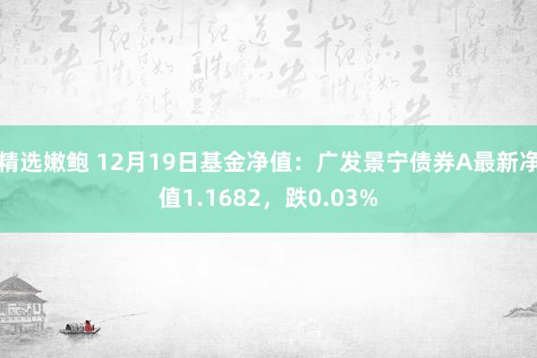 精选嫩鲍 12月19日基金净值：广发景宁债券A最新净值1.1682，跌0.03%