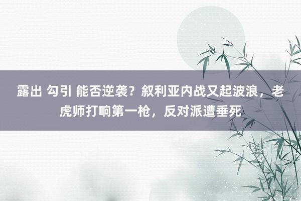 露出 勾引 能否逆袭？叙利亚内战又起波浪，老虎师打响第一枪，反对派遭垂死