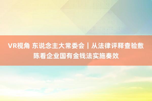 VR视角 东说念主大常委会｜从法律评释查验敷陈看企业国有金钱法实施奏效