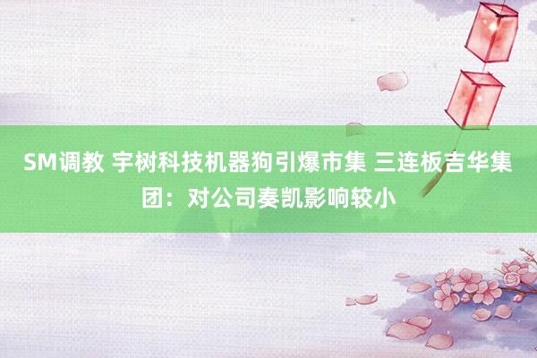 SM调教 宇树科技机器狗引爆市集 三连板吉华集团：对公司奏凯影响较小