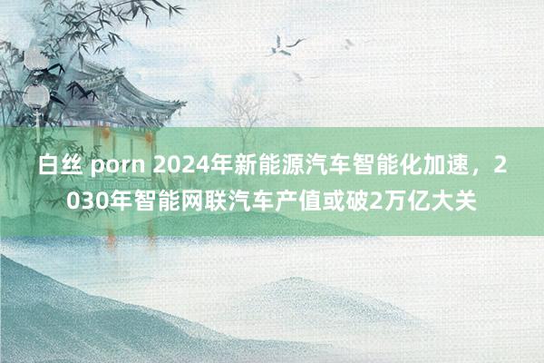 白丝 porn 2024年新能源汽车智能化加速，2030年智能网联汽车产值或破2万亿大关