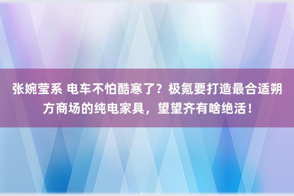 张婉莹系 电车不怕酷寒了？极氪要打造最合适朔方商场的纯电家具，望望齐有啥绝活！
