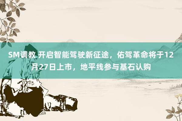 SM调教 开启智能驾驶新征途，佑驾革命将于12月27日上市，地平线参与基石认购
