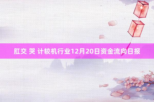 肛交 哭 计较机行业12月20日资金流向日报