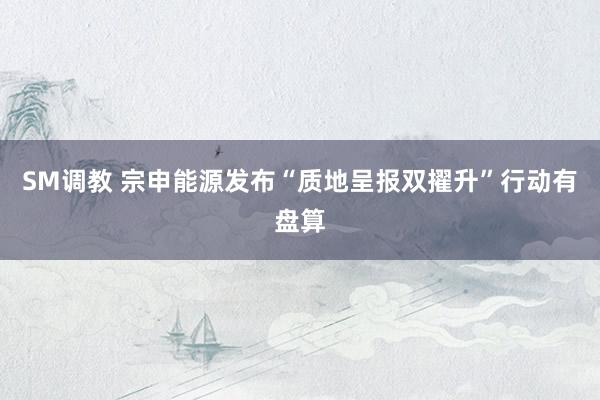 SM调教 宗申能源发布“质地呈报双擢升”行动有盘算