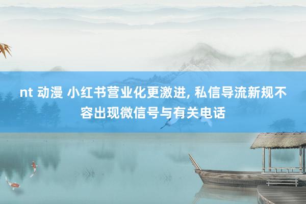 nt 动漫 小红书营业化更激进, 私信导流新规不容出现微信号与有关电话