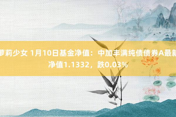 萝莉少女 1月10日基金净值：中加丰满纯债债券A最新净值1.1332，跌0.03%