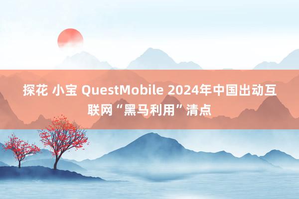 探花 小宝 QuestMobile 2024年中国出动互联网“黑马利用”清点