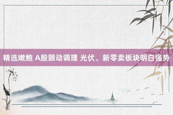 精选嫩鲍 A股颤动调理 光伏、新零卖板块明白强势