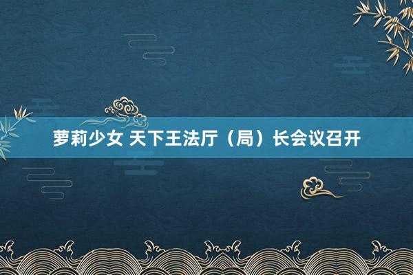萝莉少女 天下王法厅（局）长会议召开