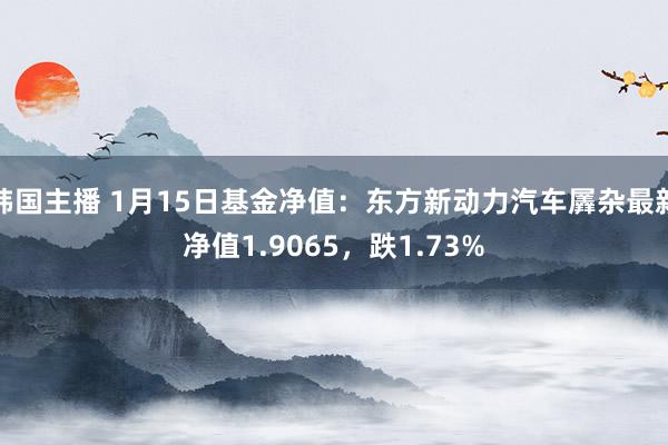 韩国主播 1月15日基金净值：东方新动力汽车羼杂最新净值1.9065，跌1.73%