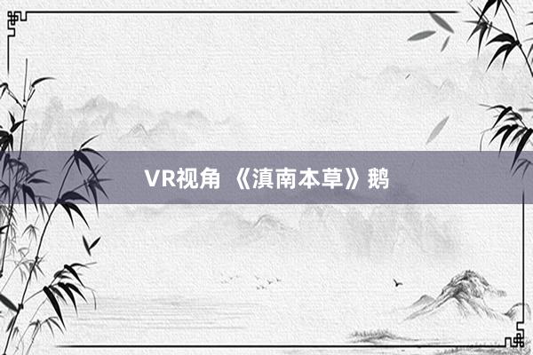 VR视角 《滇南本草》鹅