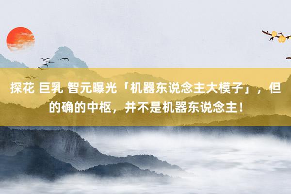 探花 巨乳 智元曝光「机器东说念主大模子」，但的确的中枢，并不是机器东说念主！
