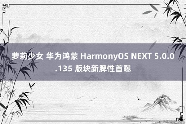 萝莉少女 华为鸿蒙 HarmonyOS NEXT 5.0.0.135 版块新脾性首曝