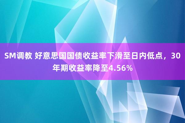 SM调教 好意思国国债收益率下滑至日内低点，30年期收益率降至4.56%