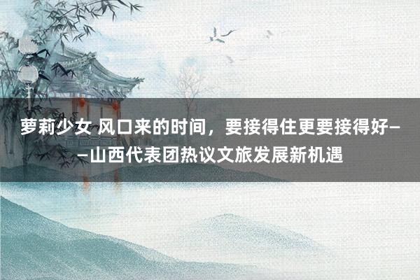 萝莉少女 风口来的时间，要接得住更要接得好——山西代表团热议文旅发展新机遇