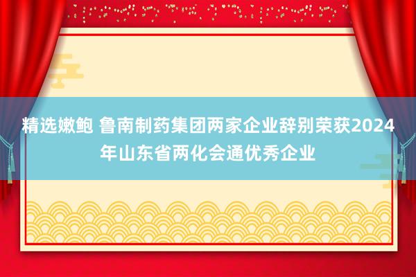 精选嫩鲍 鲁南制药集团两家企业辞别荣获2024年山东省两化会通优秀企业