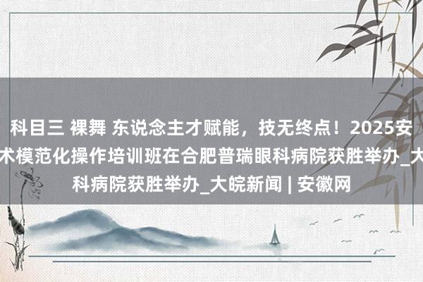 科目三 裸舞 东说念主才赋能，技无终点！2025安徽省EVO ICL手术模范化操作培训班在合肥普瑞眼科病院获胜举办_大皖新闻 | 安徽网