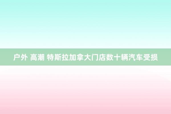 户外 高潮 特斯拉加拿大门店数十辆汽车受损