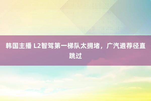 韩国主播 L2智驾第一梯队太拥堵，广汽遴荐径直跳过