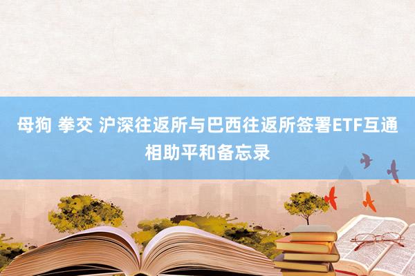 母狗 拳交 沪深往返所与巴西往返所签署ETF互通相助平和备忘录
