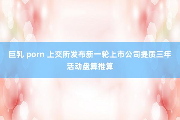 巨乳 porn 上交所发布新一轮上市公司提质三年活动盘算推算