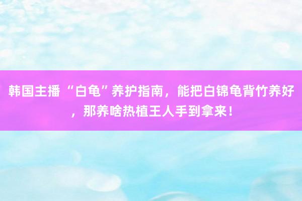 韩国主播 “白龟”养护指南，能把白锦龟背竹养好，那养啥热植王人手到拿来！