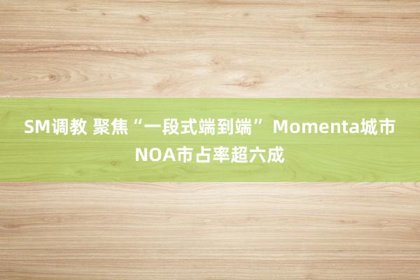 SM调教 聚焦“一段式端到端” Momenta城市NOA市占率超六成