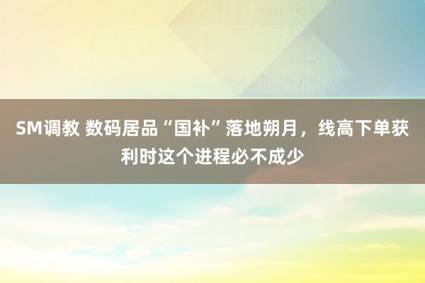 SM调教 数码居品“国补”落地朔月，线高下单获利时这个进程必不成少