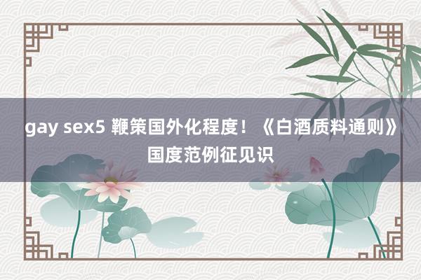 gay sex5 鞭策国外化程度！《白酒质料通则》国度范例征见识