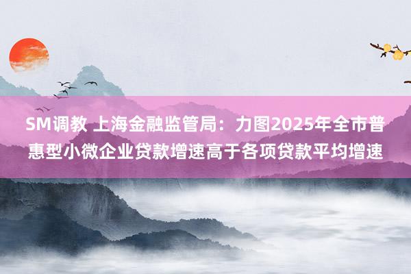 SM调教 上海金融监管局：力图2025年全市普惠型小微企业贷款增速高于各项贷款平均增速