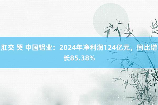 肛交 哭 中国铝业：2024年净利润124亿元，同比增长85.38%