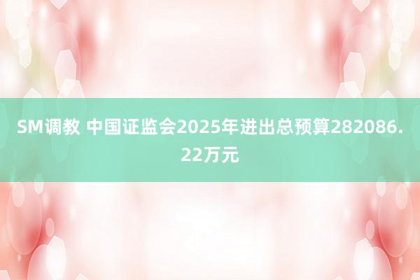 SM调教 中国证监会2025年进出总预算282086.22万元